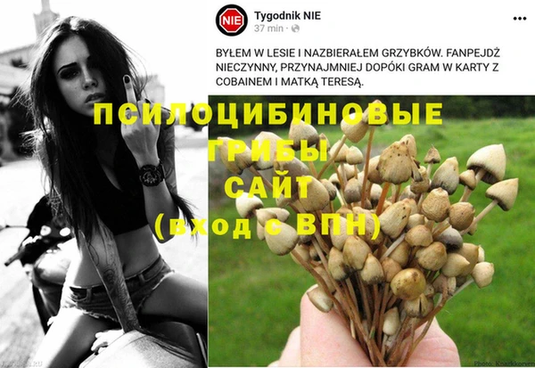 соль ск Алексин