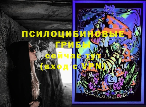 шишки Новозыбков