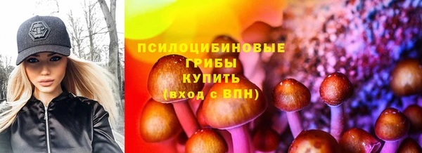 mdpv Новодвинск