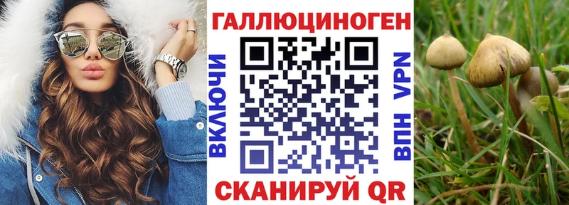 купить  сайты  Ачинск  Галлюциногенные грибы Magic Shrooms 
